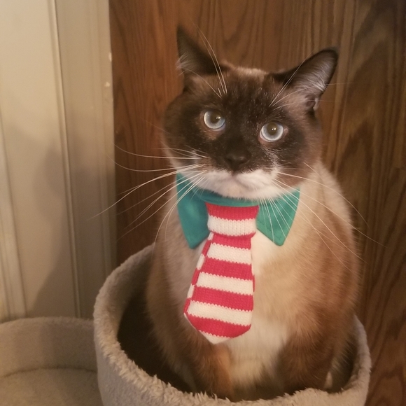 Meet your Posher, Leah - Picture 6 of 6